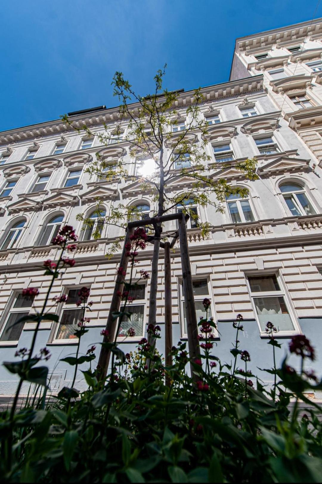 Vienna My City Apartment 2Bedroom Viena Exterior foto